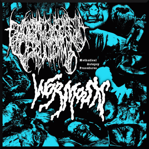 Wormosis : Methodical Autopsy Procedures